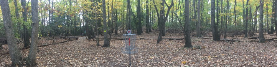 Todd's Disc Golf Chronicles
